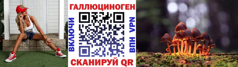 hydra ССЫЛКА  Малаховка  Галлюциногенные грибы Psilocybine cubensis 